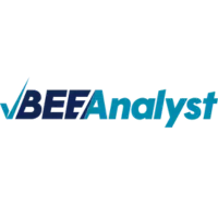BEE Analyst
